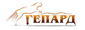 Гепард