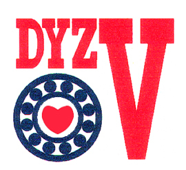 DYZV