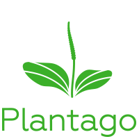 Plantago