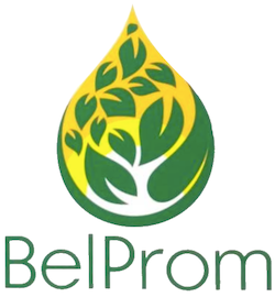 BelProm