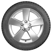 Ikon Tyres TS82174 Шина зимняя шипованная легковая Nordman 7 205/60 R16 96T