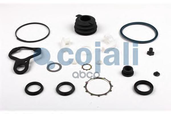 6034026_р/к ПГУ сцепления !629683AM Omn Scania 4-ser.