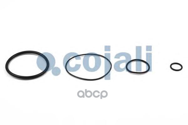 р/к ускорительного клапана! (мпр)уплотнения для 973 001 0MB,MAN,DAF,IVECO,RVI,Vo