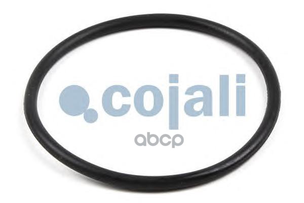 Ремкомплект диск тормоза SN6/SN7