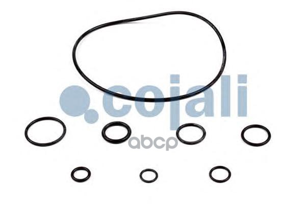 6034026_р/к ПГУ сцепления !629683AM Omn Scania 4-ser.