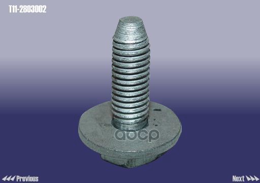 Болт [ORG] CHERY арт. T112803002