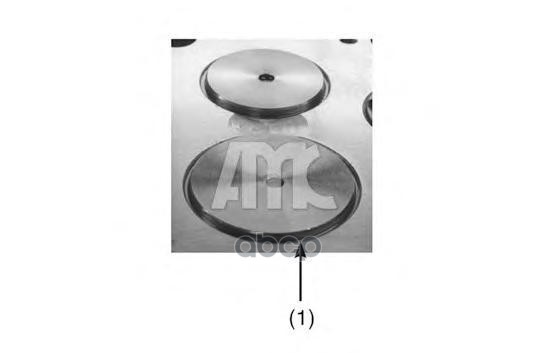 Головка блока Mitsubishi/Hyundai 2.5TD 4D56 -94 (MD109736, MD185926) AMC