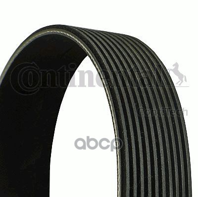 Ремень 1342 10PK RENAULT, VOLVO Ремень поликлиновый Continental 10PK1342Поликлиновые ремни Continental, как правило, не подвергаются шлифовке, а изготавливаются методом формовки. Это обеспечивает точное соблюдение размеров, долгий срок службы и бесшумност