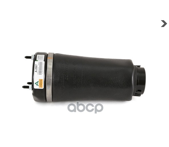 Пневмобаллон MB R-Class (W251) 06-13 передний A2587