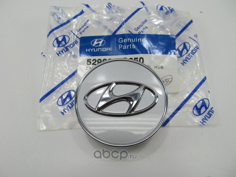 Hyundai-KIA 529602S250