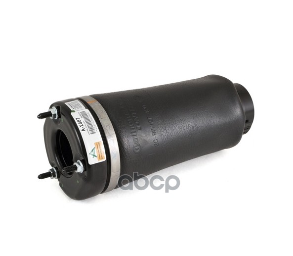 Пневмобаллон MB R-Class (W251) 06-13 передний A2587