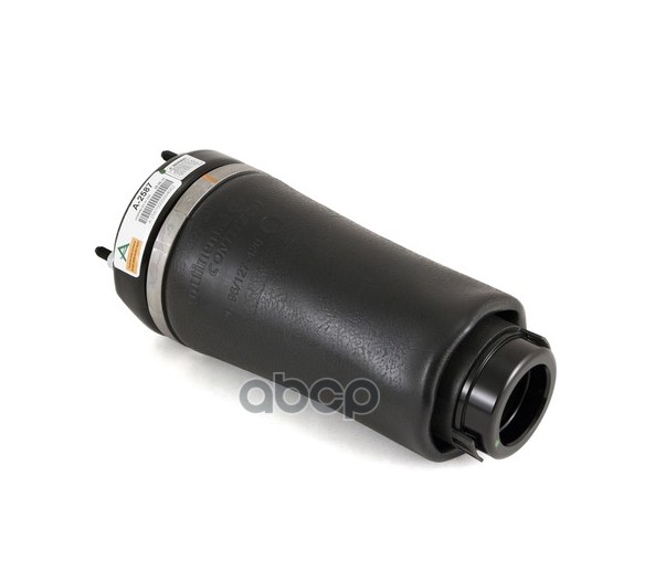 Пневмобаллон MB R-Class (W251) 06-13 передний A2587