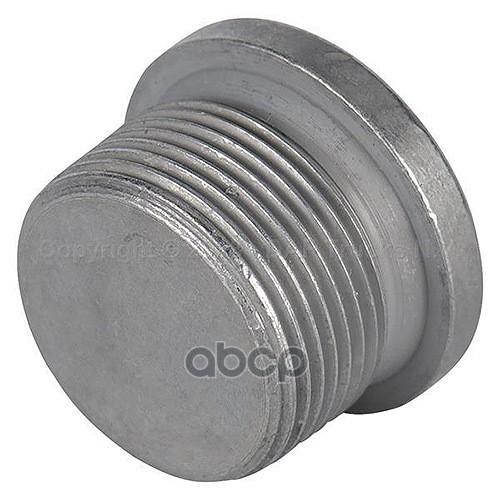 пробка поддона DAF