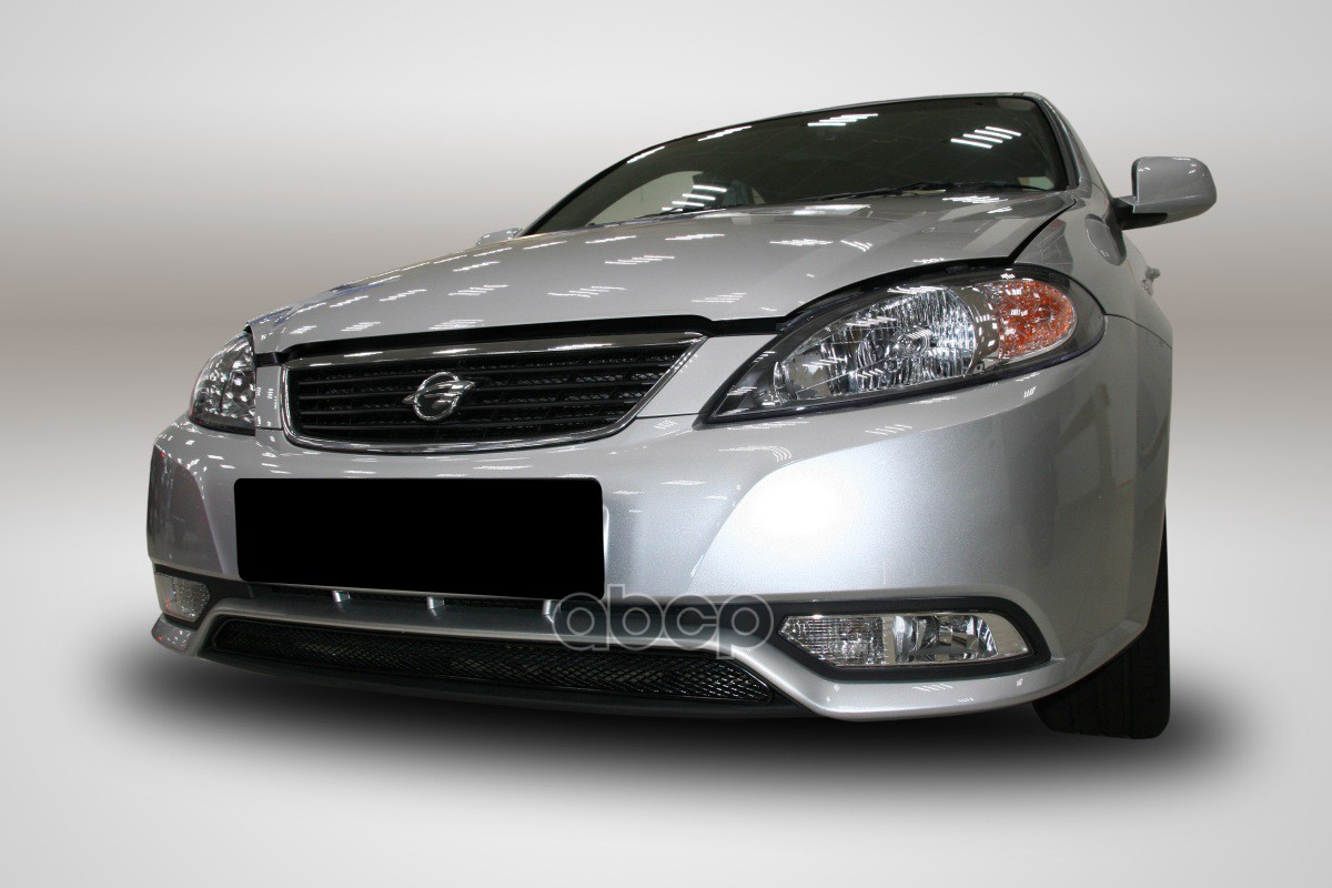 Сетка на бампер внешняя для RAVON Gentra 2016-2018, черн., 15 мм / Равон Гентра