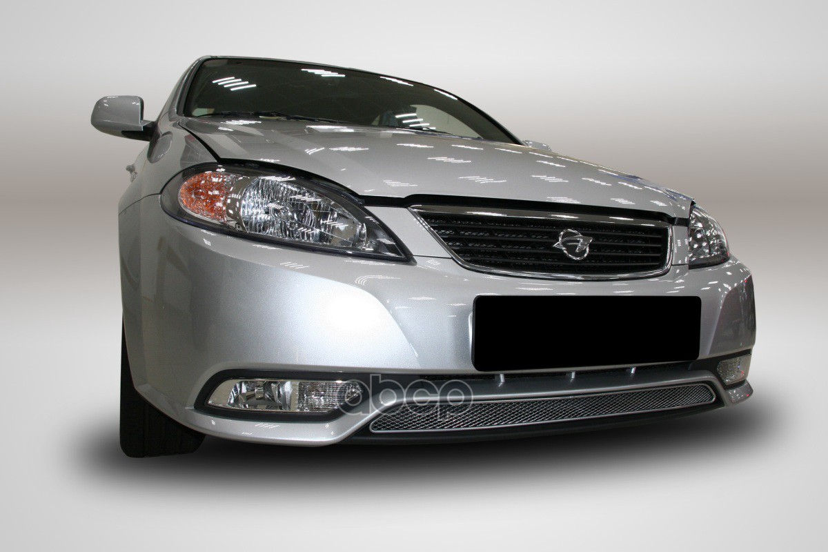 Сетка на бампер внешняя для RAVON Gentra 2016-2018, черн., 15 мм / Равон Гентра