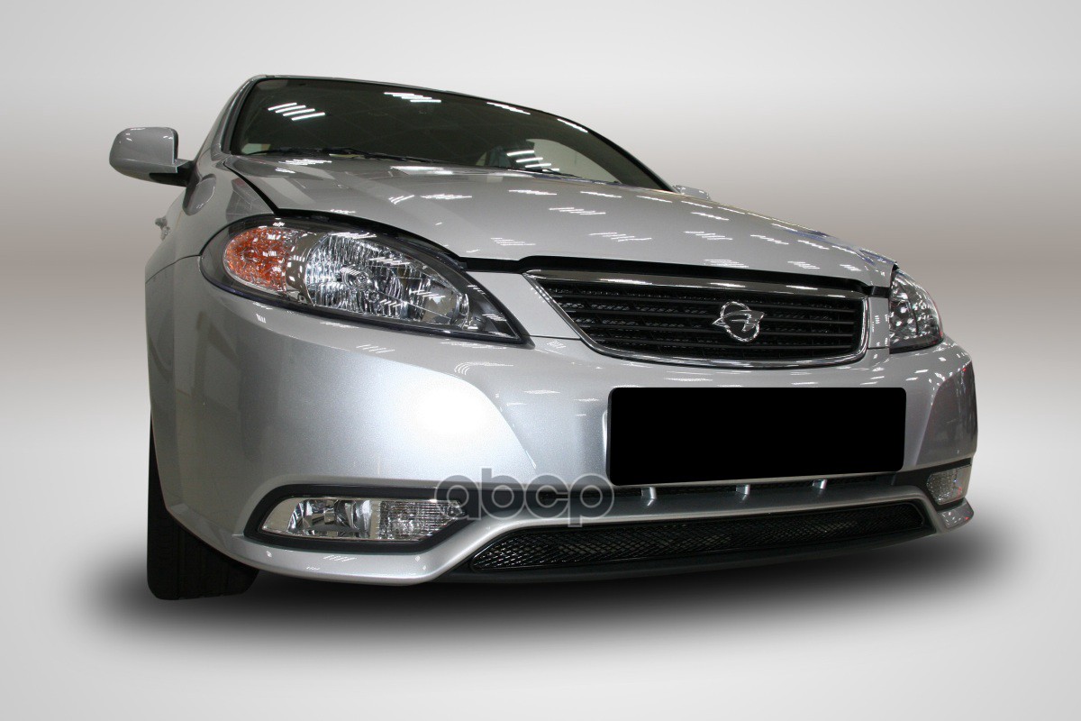 Сетка на бампер внешняя для RAVON Gentra 2016-2018, черн., 15 мм / Равон Гентра