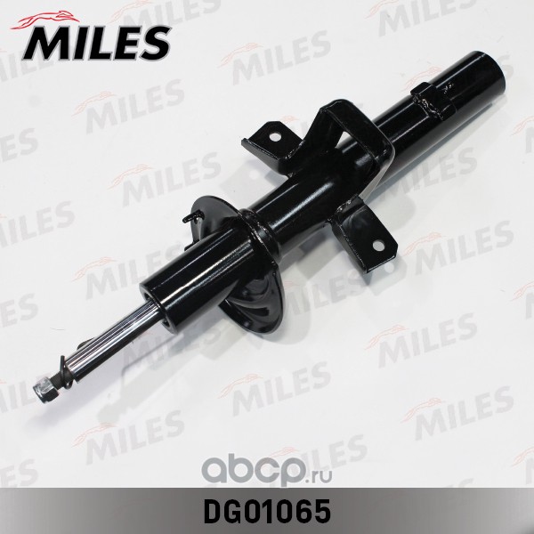 Miles DG01065