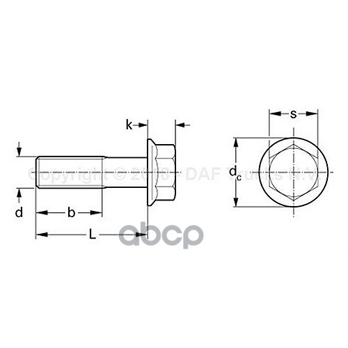 Болт М10X80 кронштейна брызговика DAF/