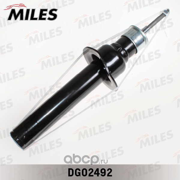 Miles DG02492