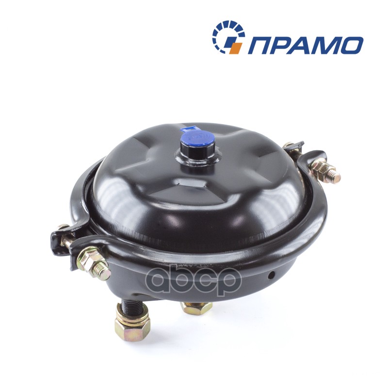 Камера тормозная КАМАЗ, МАЗ, КРАЗ, ЗИЛ передняя тип 24