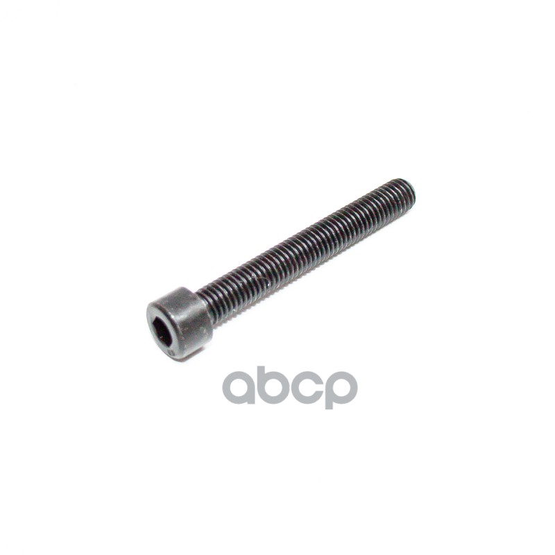 Ролик 'ленивец' ремня ГРМ(дв-F16D4) 1.4 DOHC T255