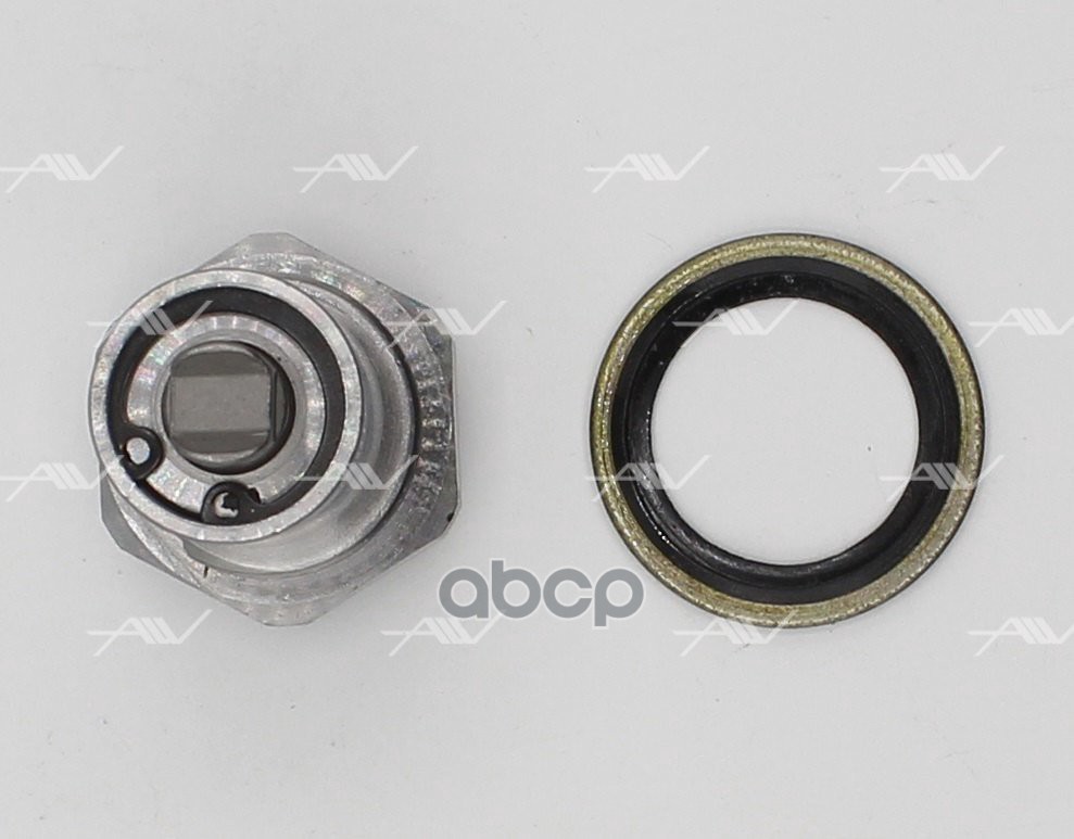 CT-53002 натяжитель цепи ГРМ ALFA ROMEO/FIAT/OPEL/SAAB Z22SE/A20NHT (0636549)