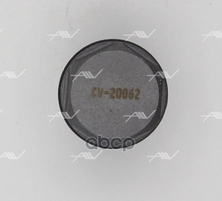 CV-20062 редукционный клапан топливной рейки (1110010018)