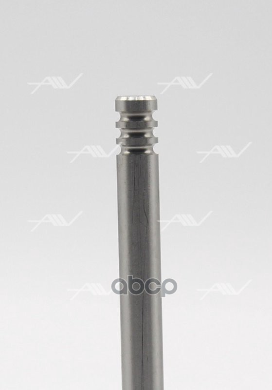 VE-50000 клапан вып BMW M40B16/18 M70B50 36x7x101.2