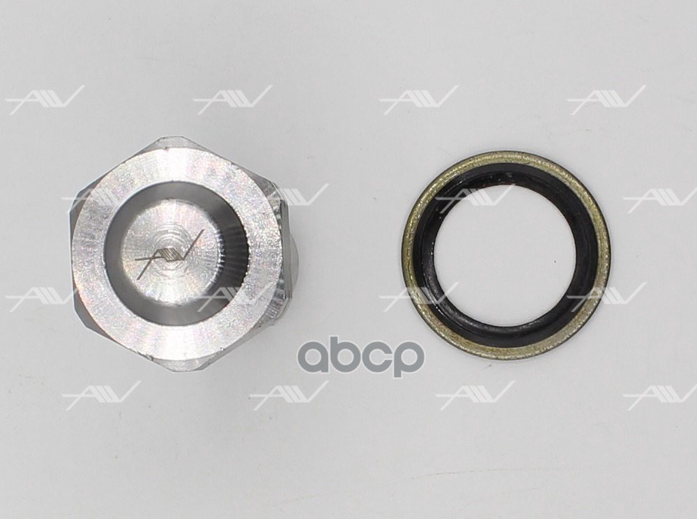 CT-53002 натяжитель цепи ГРМ ALFA ROMEO/FIAT/OPEL/SAAB Z22SE/A20NHT (0636549)