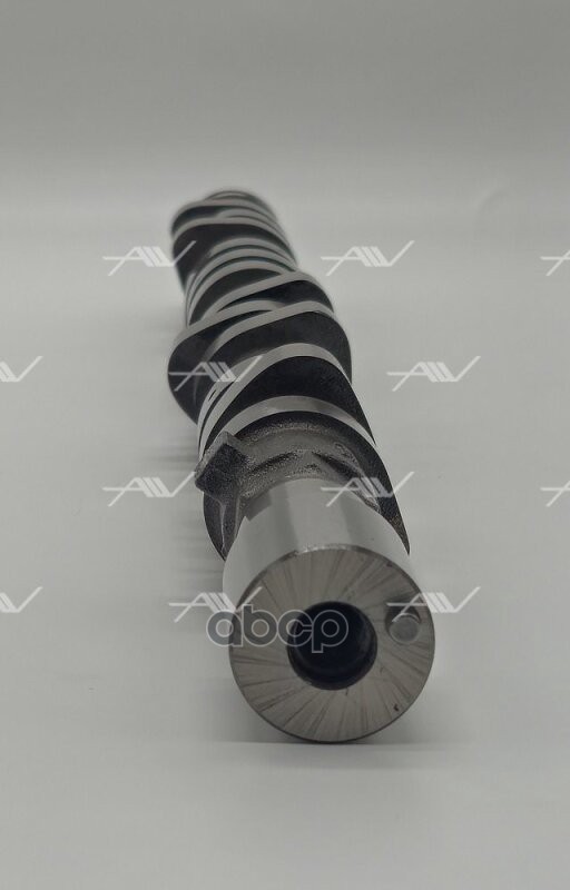 CS-31000 распредвал MAZDA WL (WL31-12-420A)