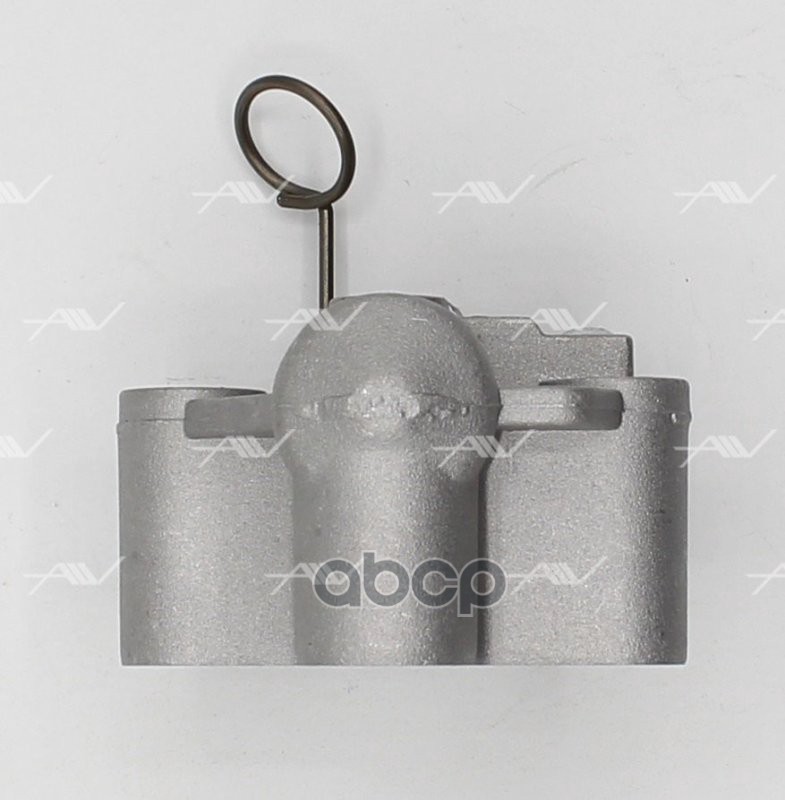 CT-54000 натяжитель цепи ГРМ FORD P8FA/QVFA (1704066)