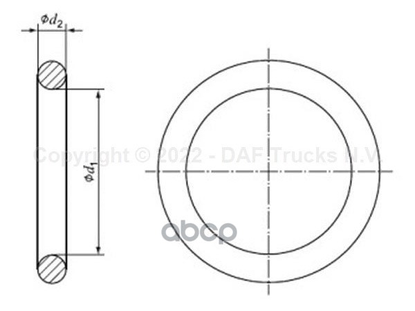 кольцо уплотнительное (р) форсунки DAF 95XF