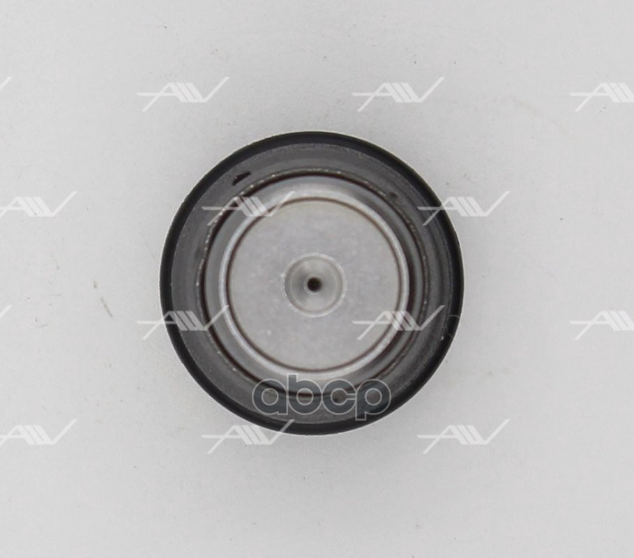 CV-20062 редукционный клапан топливной рейки (1110010018)