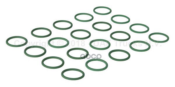 кольцо уплотнительное DAF