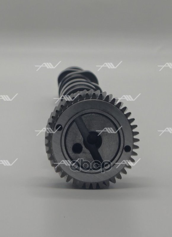 CS 51005 распредвал выпускной AUDI VW 2 5TDI V6 1 3cyl   059109022BC)