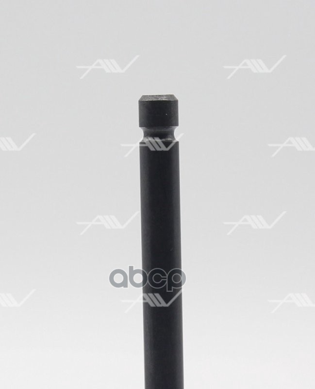 Клапаны впускные IN WL, VI31008, AUTOWELT