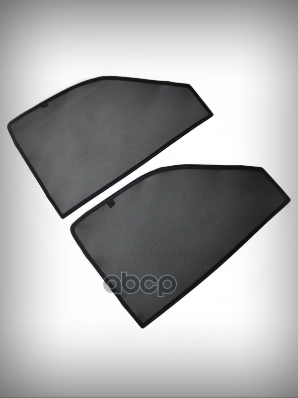 Тонировка съемная  SCANIA P/G/R-series (04-) каркас на магнитах, передние стекла