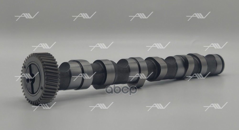 CS 51005 распредвал выпускной AUDI VW 2 5TDI V6 1 3cyl   059109022BC)