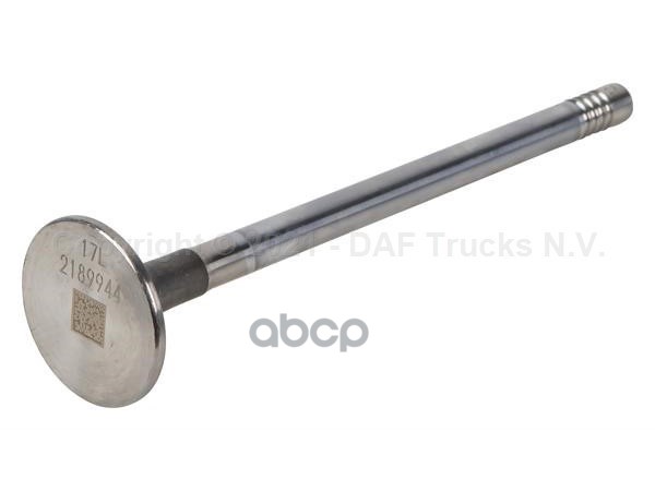 Клапан выпускной 2189944