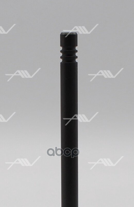 Клапан выпуск (EX)