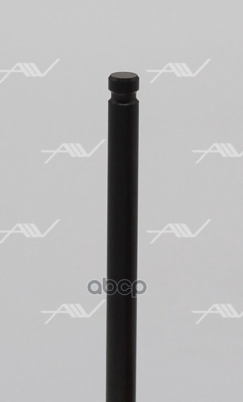 Клапан выпуск (EX)