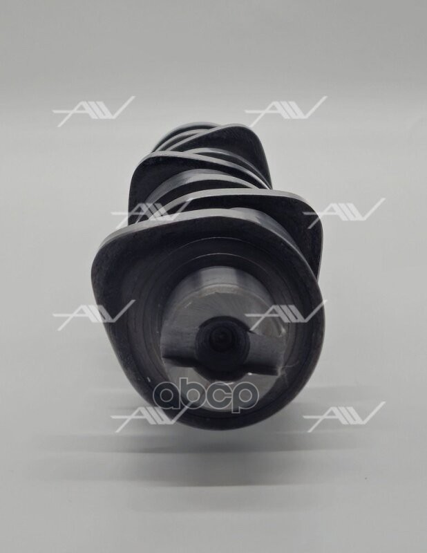 CS-51012 распредвал  AUDI/VW  (038 109 101 AH) стальной