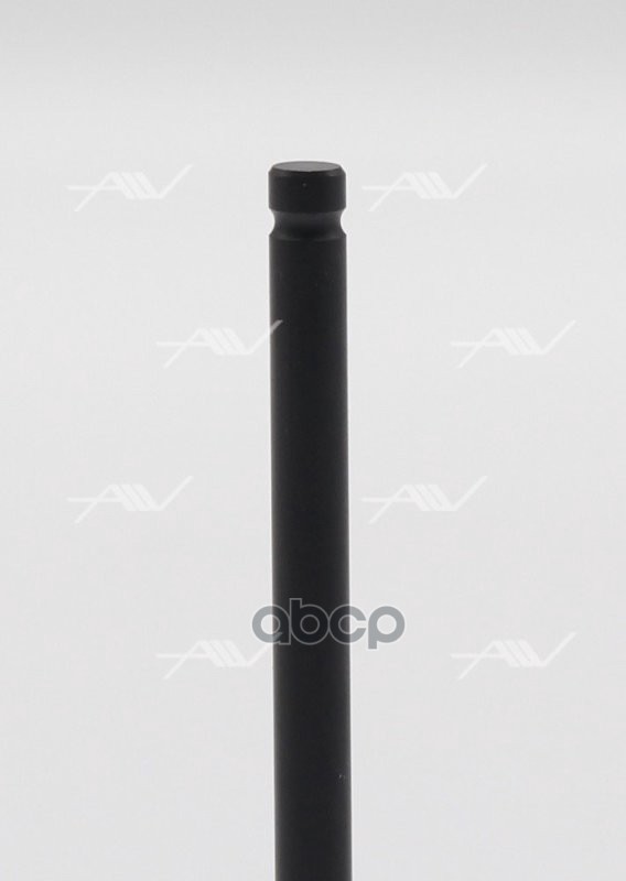 VE-31022 клапан вып MAZDA Z5-DE 24x5.5x92.6