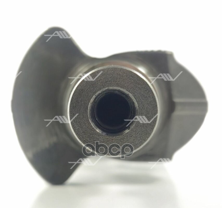 CN-32012 коленвал MITSUBISHI 4D56 CRDI чугунный