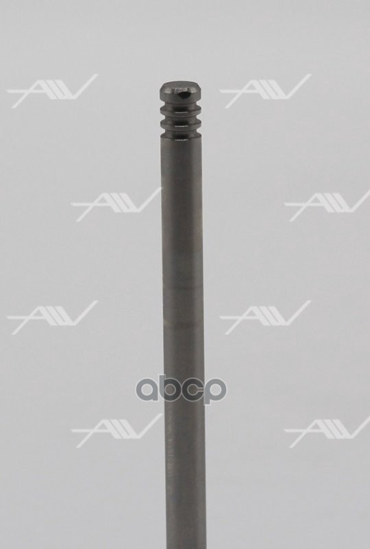 Клапан вып RENAULT K9K 29x6x100.7