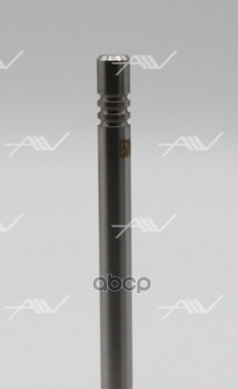 VE-57011 клапан вып LAND ROVER 204DTD 25.6x5.5x100.4