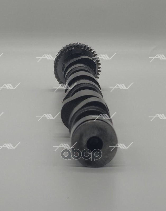 CS 51005 распредвал выпускной AUDI VW 2 5TDI V6 1 3cyl   059109022BC)