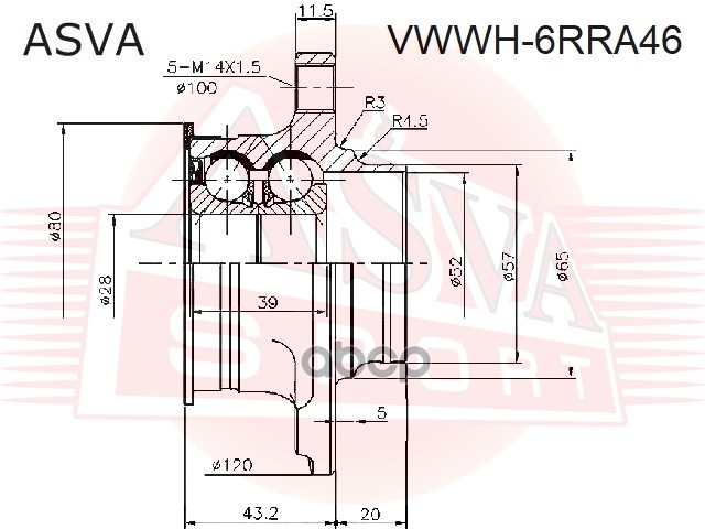 СТУПИЦА ЗАДНЯЯ