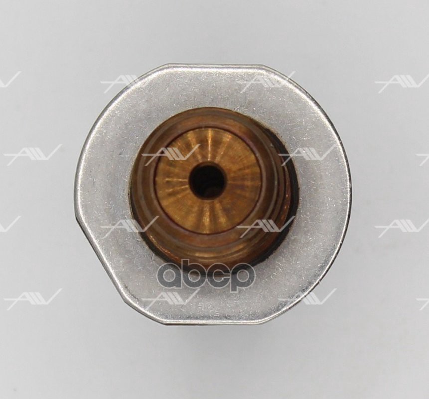 Регулятор давления топлива