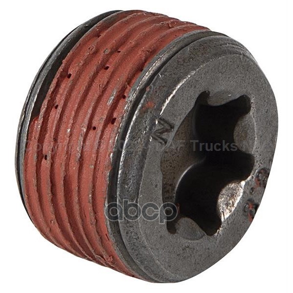 пробка редуктора DAF XF